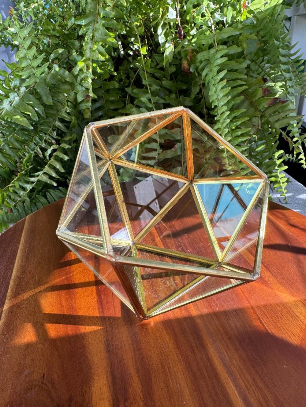 Geometric glass terrarium glass and brass sits on a tip